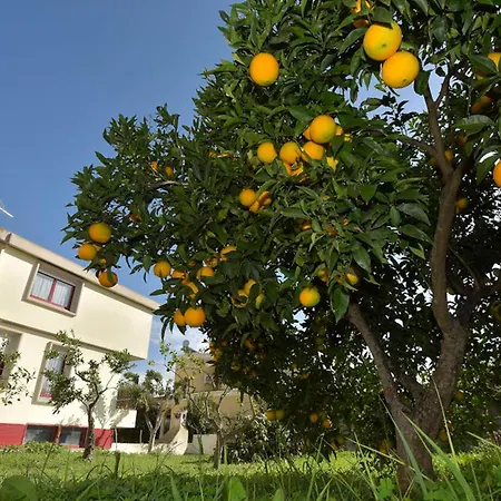 Apartamento Isola Bella - Costa *